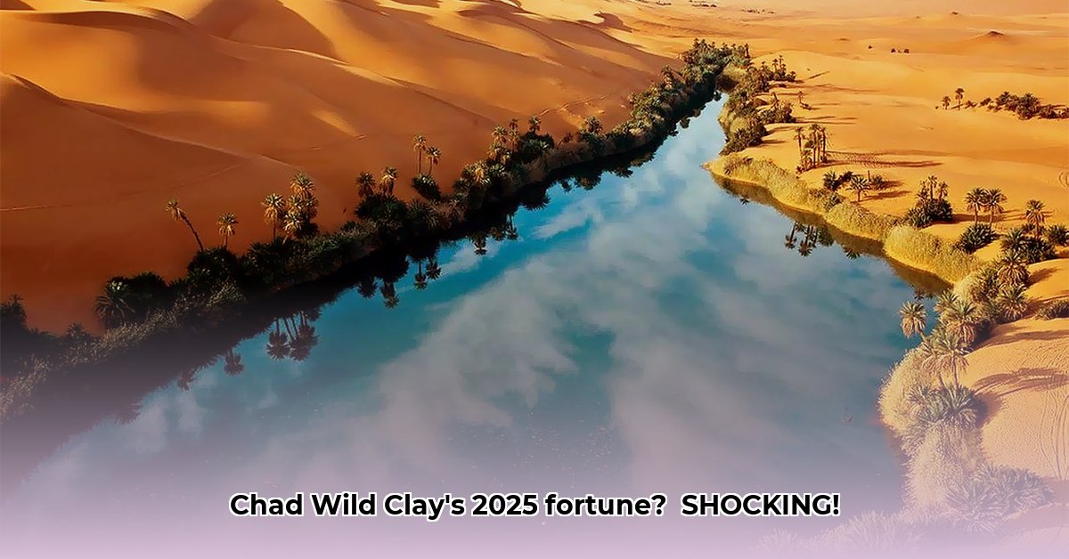 chad-wild-clay-net-worth